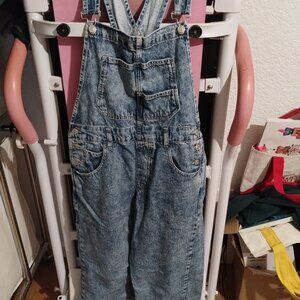 We The Free Ziggy Denim Overalls